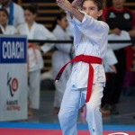 Wiener Karate Meisterschaft 2025