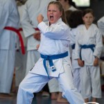 Wiener Karate Meisterschaft 2025