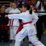 Wiener Karate Meisterschaft 2025