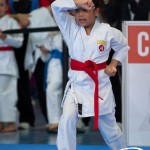 Wiener Karate Meisterschaft 2025