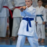 Wiener Karate Meisterschaft 2025