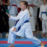 Wiener Karate Meisterschaft 2025