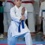 Wiener Karate Meisterschaft 2025
