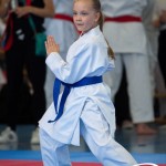 Wiener Karate Meisterschaft 2025