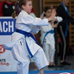 Wiener Karate Meisterschaft 2025