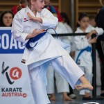 Wiener Karate Meisterschaft 2025