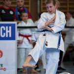Wiener Karate Meisterschaft 2025