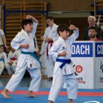 Wiener Karate Meisterschaft 2025