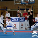 Wiener Karate Meisterschaft 2025