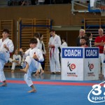 Wiener Karate Meisterschaft 2025