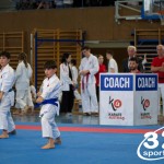 Wiener Karate Meisterschaft 2025