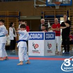 Wiener Karate Meisterschaft 2025