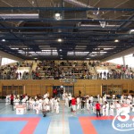 Wiener Karate Meisterschaft 2025