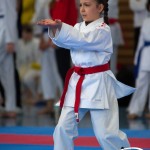 Wiener Karate Meisterschaft 2025