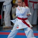 Wiener Karate Meisterschaft 2025