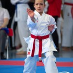 Wiener Karate Meisterschaft 2025
