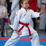 Wiener Karate Meisterschaft 2025