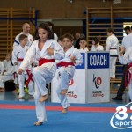 Wiener Karate Meisterschaft 2025