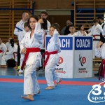 Wiener Karate Meisterschaft 2025
