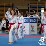 Wiener Karate Meisterschaft 2025