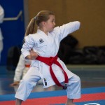 Wiener Karate Meisterschaft 2025