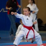Wiener Karate Meisterschaft 2025