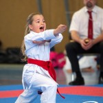 Wiener Karate Meisterschaft 2025