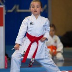 Wiener Karate Meisterschaft 2025