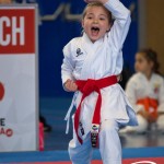 Wiener Karate Meisterschaft 2025