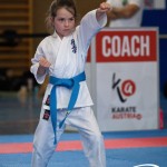 Wiener Karate Meisterschaft 2025