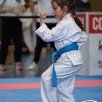 Wiener Karate Meisterschaft 2025