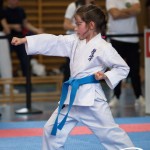 Wiener Karate Meisterschaft 2025