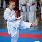Wiener Karate Meisterschaft 2025