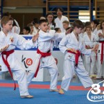 Wiener Karate Meisterschaft 2025
