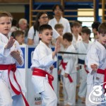 Wiener Karate Meisterschaft 2025