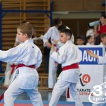 Wiener Karate Meisterschaft 2025