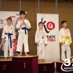 Wiener Karate Meisterschaft 2025
