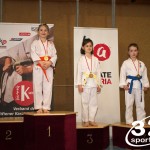 Wiener Karate Meisterschaft 2025