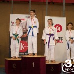 Wiener Karate Meisterschaft 2025