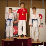 Wiener Karate Meisterschaft 2025