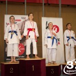 Wiener Karate Meisterschaft 2025