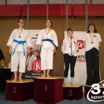 Wiener Karate Meisterschaft 2025