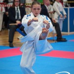 Vienna Open Karate Meisterschaft 2025