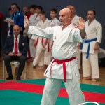 Vienna Open Karate Meisterschaft 2025