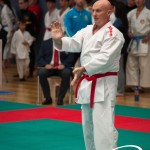 Vienna Open Karate Meisterschaft 2025