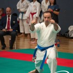 Vienna Open Karate Meisterschaft 2025