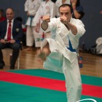 Vienna Open Karate Meisterschaft 2025