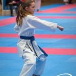 Vienna Open Karate Meisterschaft 2025