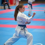 Vienna Open Karate Meisterschaft 2025
