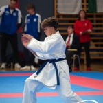 Vienna Open Karate Meisterschaft 2025
